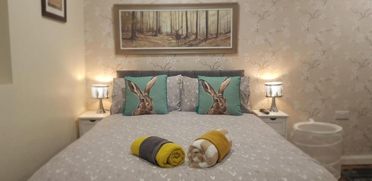 The Musical Ceol Cottage 1-Bedroom - Sleeps Four Ballynahinch Екстериор снимка
